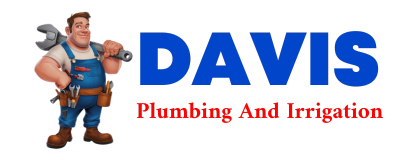 Trusted plumber in ANNONA